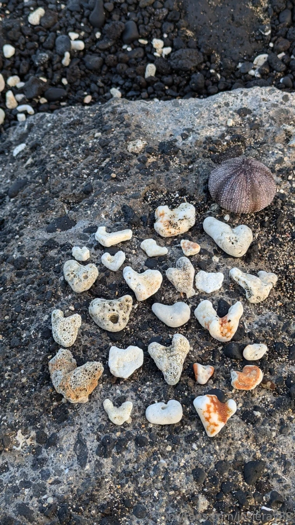 I started my day freezing in the mountains saw a bear at the gas part 3 