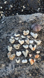 I started my day freezing in the mountains saw a bear at the gas part 3