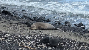 I started my day freezing in the mountains saw a bear at the gas part 5