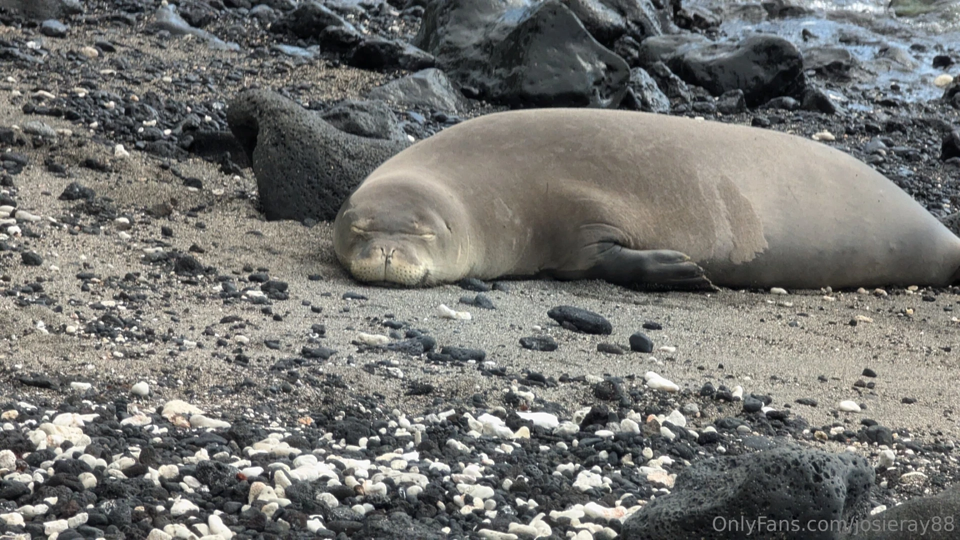 I started my day freezing in the mountains saw a bear at the gas part 1 
