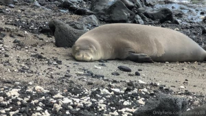 I started my day freezing in the mountains saw a bear at the gas part 1