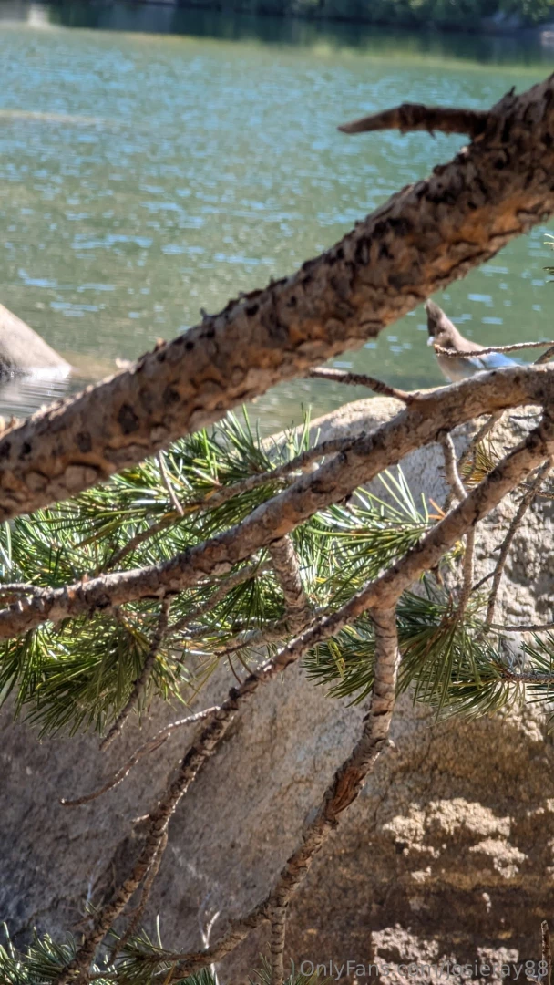 Went to see counting crows favorite and santana for my birthday a 