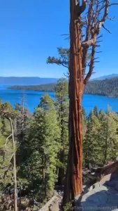 I went to eagle falls and hung out tourist season is almost over for a part 7