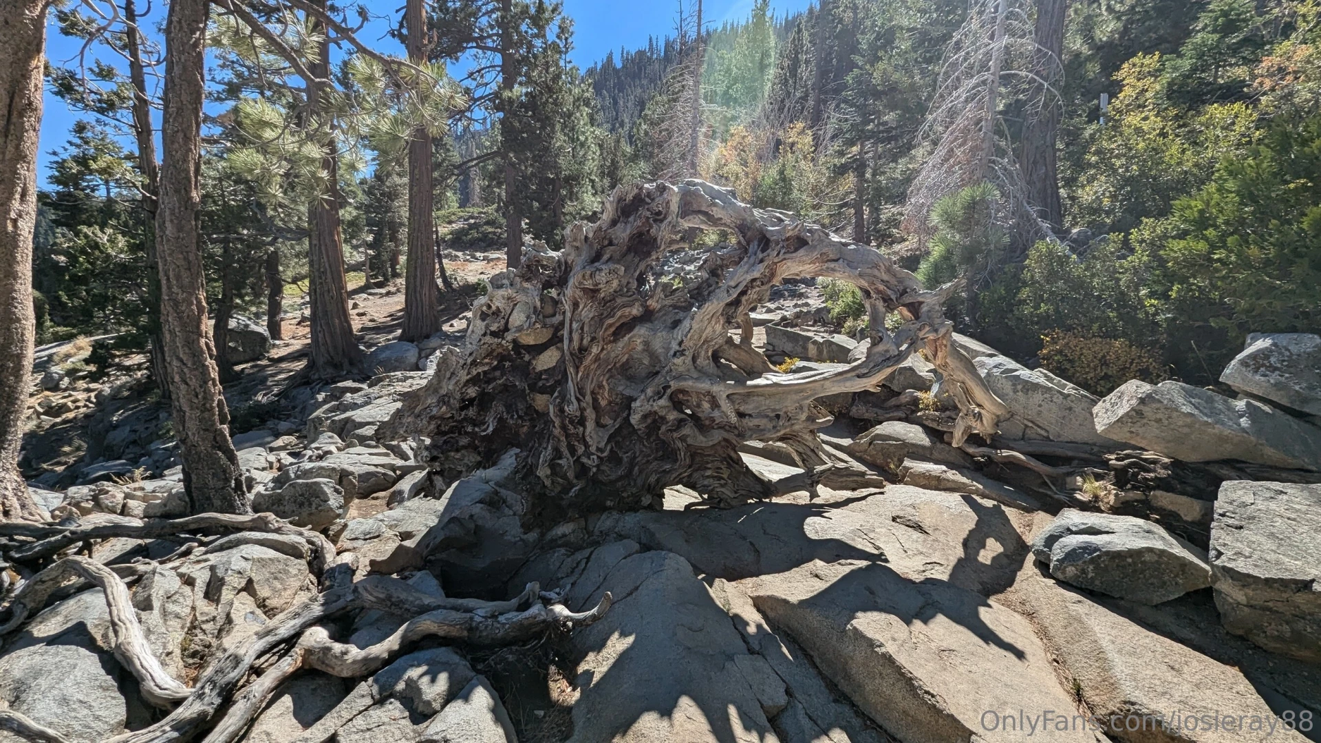 I went to eagle falls and hung out tourist season is almost over for a part 4 