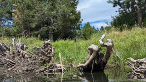 Took my boat out for 3 hours my arms are a bit sore i could use a part 2