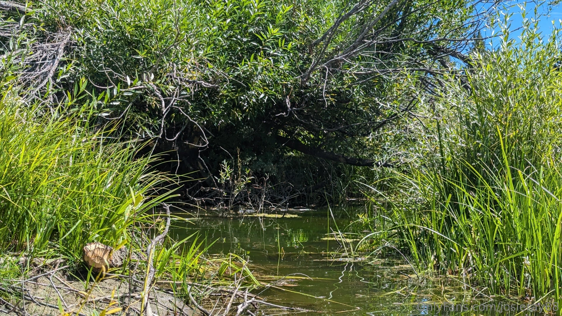 Took my boat out for 3 hours my arms are a bit sore i could use a part 1 