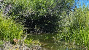 Took my boat out for 3 hours my arms are a bit sore i could use a part 1