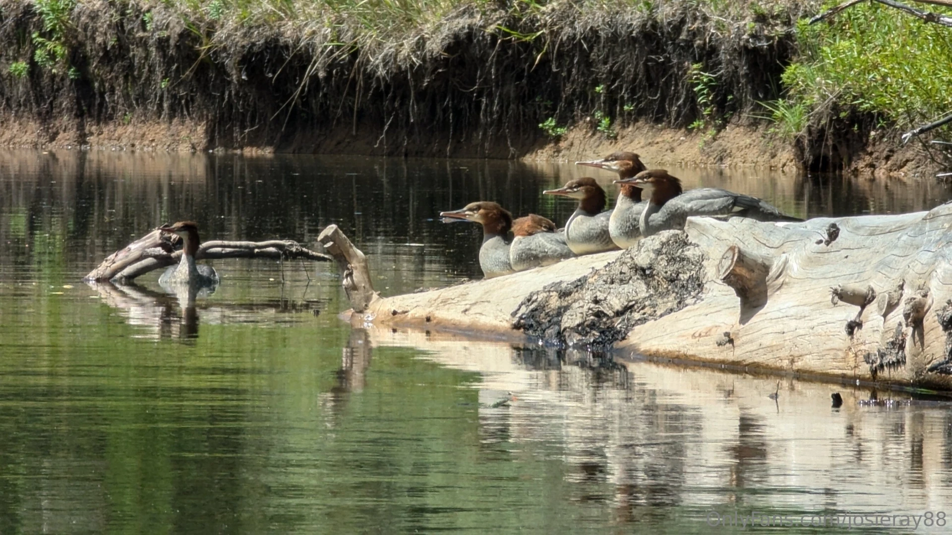 Took my boat out for 3 hours my arms are a bit sore i could use a part 3 