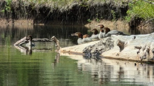 Took my boat out for 3 hours my arms are a bit sore i could use a part 3