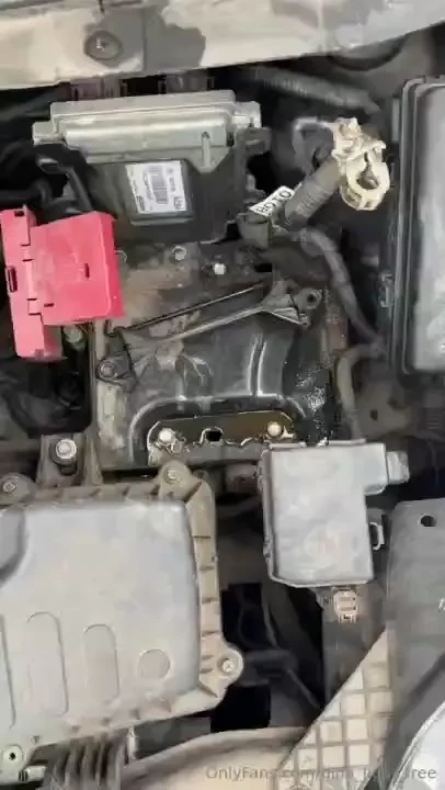 Today i removed the car battery myself and now i m off to charge it 