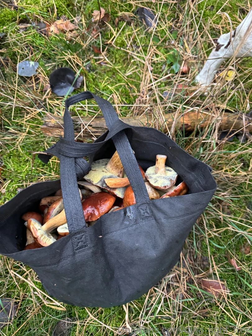 There s something about wandering through the forest in autumn looking 