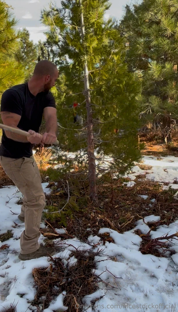 If you wanna watch me cut down a tree 