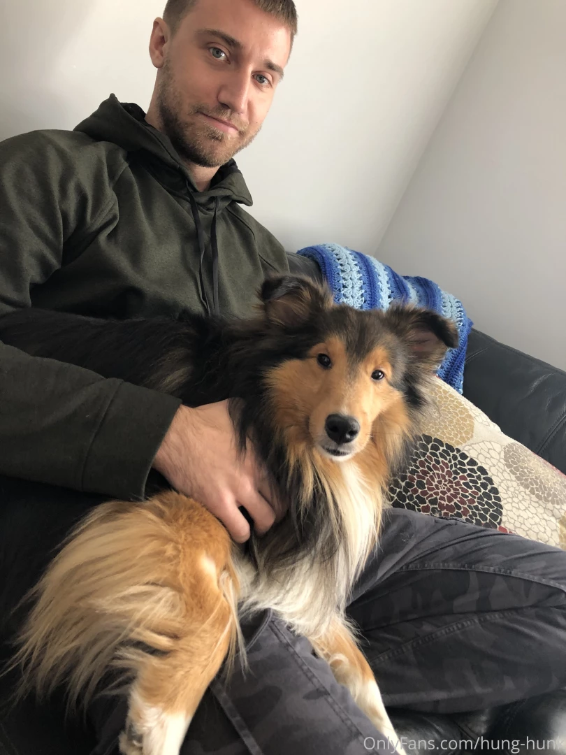 Football and pooches 
