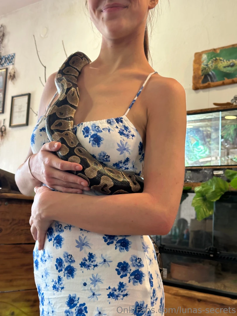 Ich fand gro e schlangen schon immer irgendwie toll ich w nsche dir 