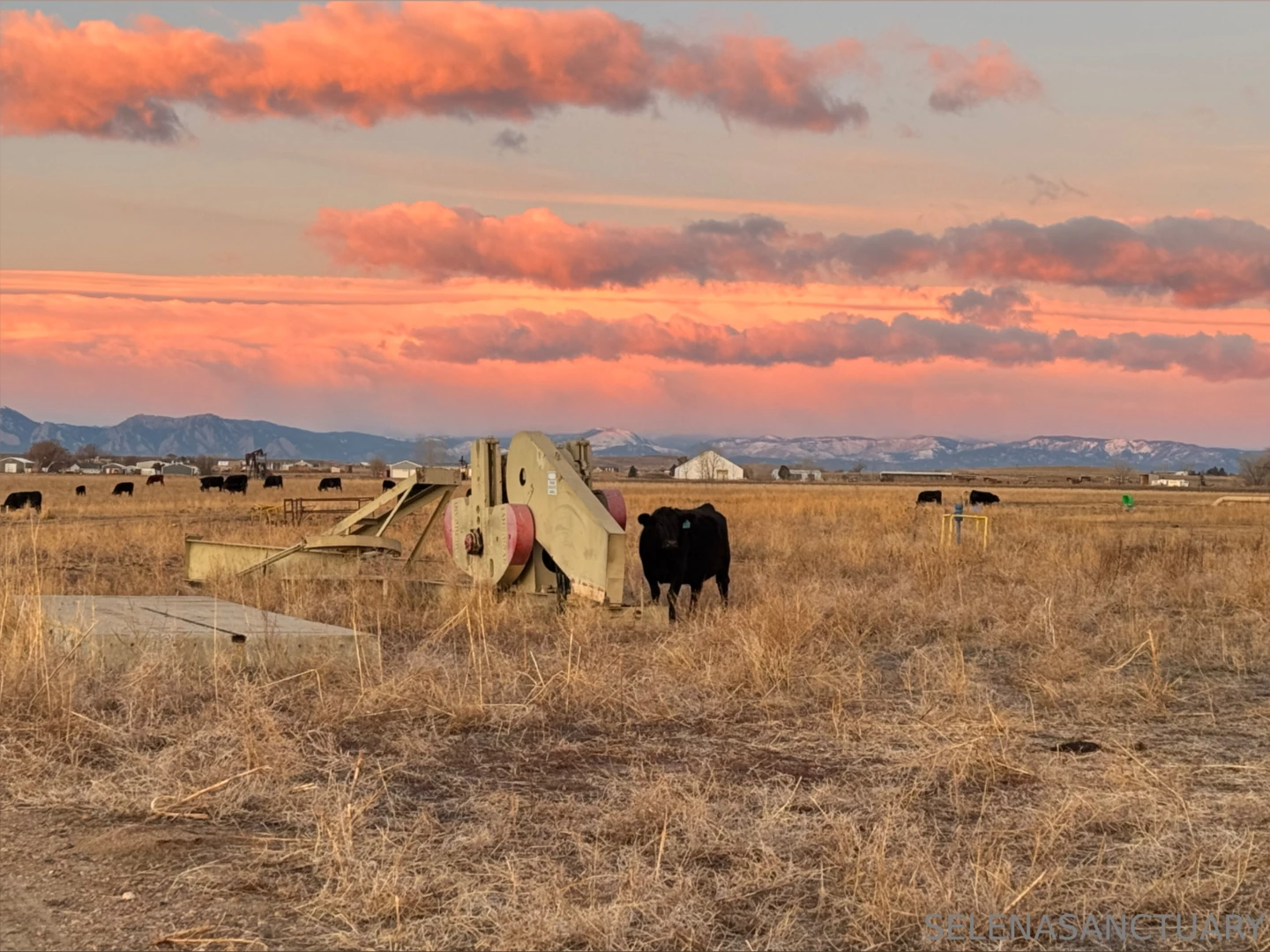 Living my best life right now part 1 