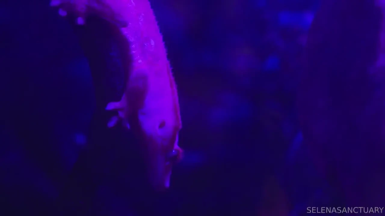 Hey we don t bite part 1 