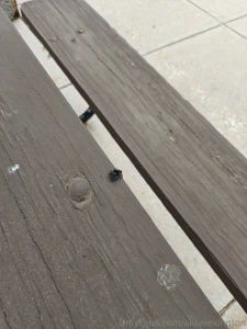 I just wanna post this spider i seen outside some weeks ago it was so part 1