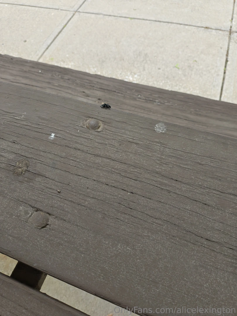 I just wanna post this spider i seen outside some weeks ago it was so 