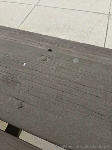 I just wanna post this spider i seen outside some weeks ago it was so