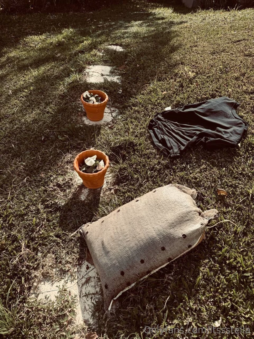 Starting my garden and loving every bit of it can t wait to see what 