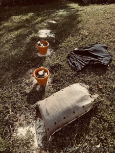 Starting my garden and loving every bit of it can t wait to see what