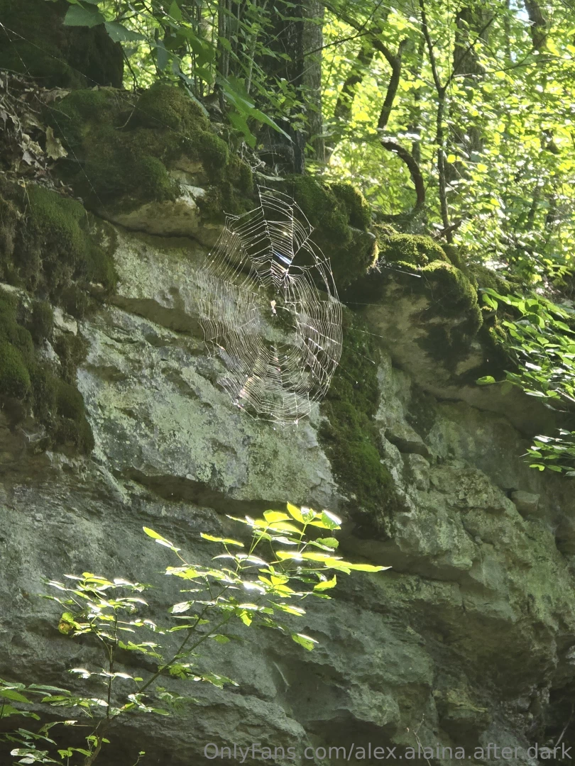 Last weekend was filled with laughter breathtaking scenery and the joy part 5 