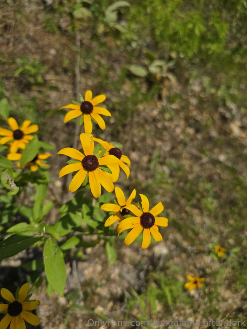 Last weekend was filled with laughter breathtaking scenery and the joy part 1 