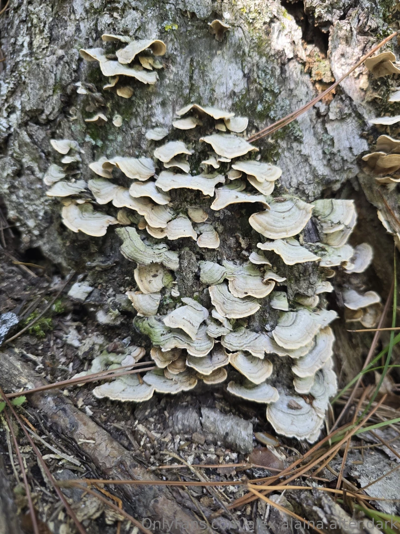 Last weekend was filled with laughter breathtaking scenery and the joy part 8 