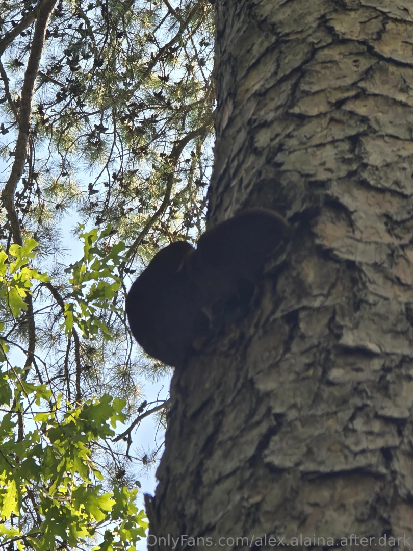 Last weekend was filled with laughter breathtaking scenery and the joy part 3 