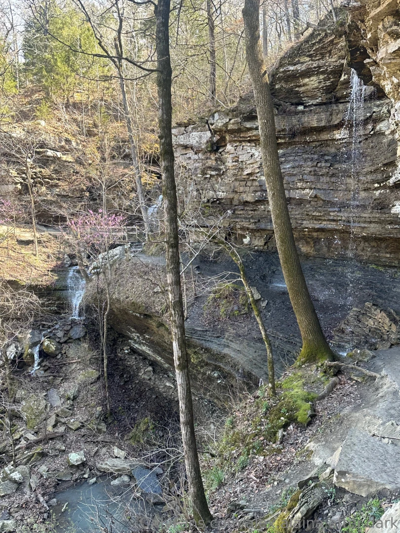 We enjoyed a lovely spring hike followed by sushi at our favorite spot part 2 