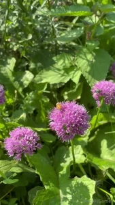 Have a great weekend the first picture is the one i mentioned in my part 2