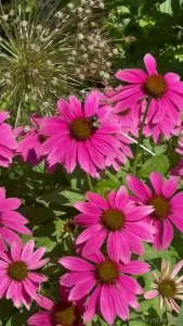 Have a great weekend the first picture is the one i mentioned in my part 1