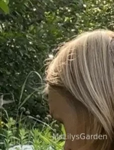 Photobombed by a hummingbird this morning it s a bit hard to see but