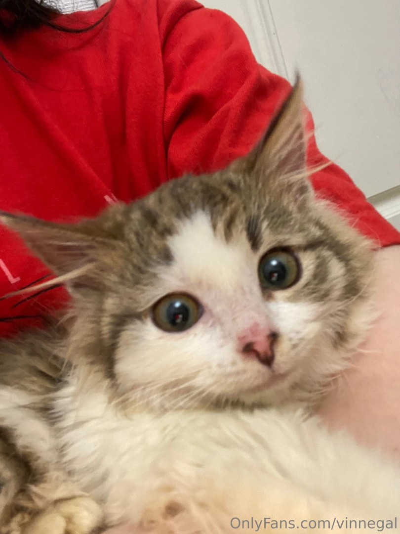 Today i have a small story for you trying to share my life a little 