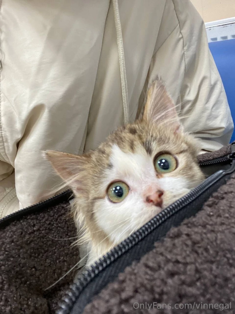 Today i have a small story for you trying to share my life a little part 1 