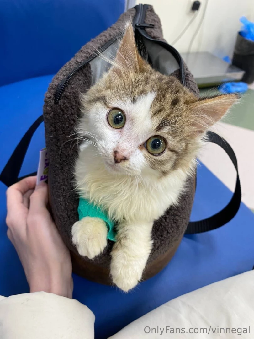 Today i have a small story for you trying to share my life a little part 2 