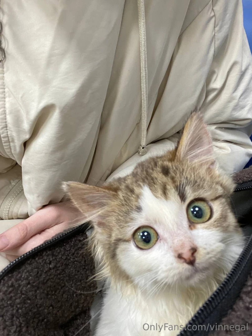 Today i have a small story for you trying to share my life a little part 3 