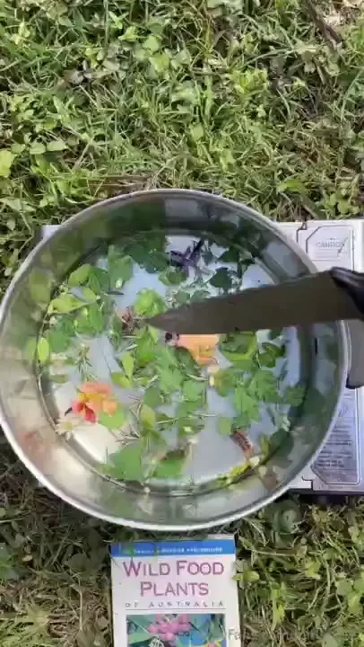 A good time to pour some aussie nature into your cup 