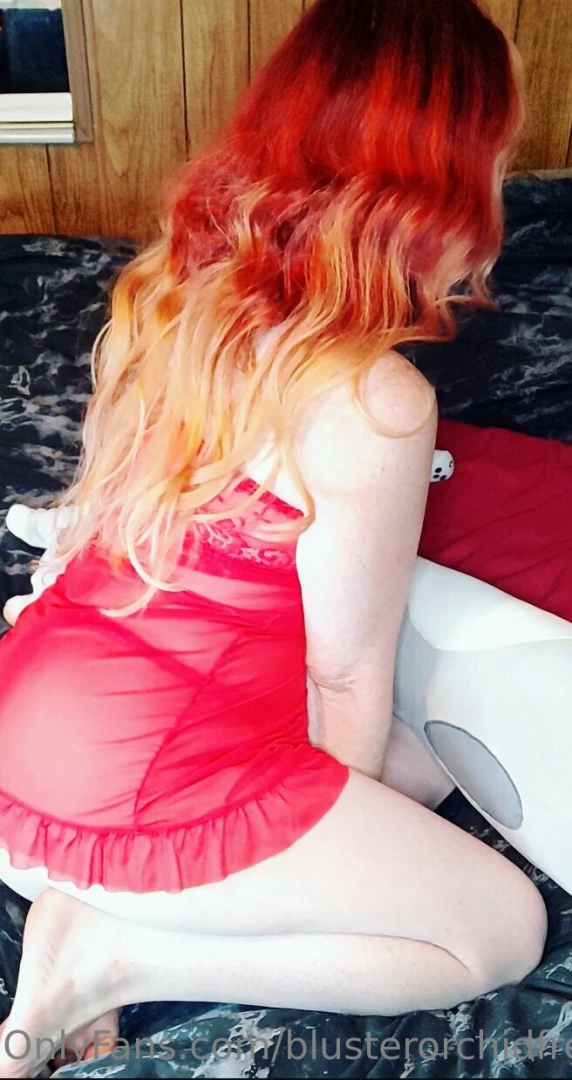 Blusterorchidfree part 426 