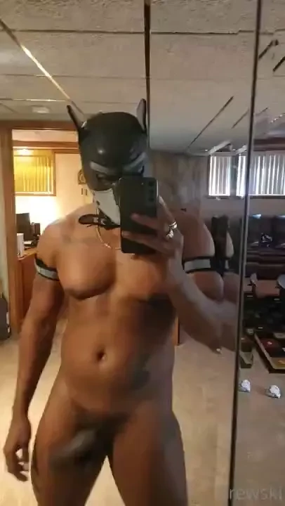 Doggy fit woof part 1 