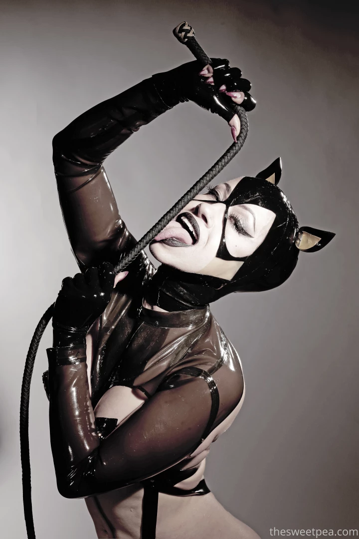 Meow it s international cat day enjoy a few studio shots by neil nez 