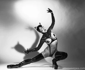 Meow it s international cat day enjoy a few studio shots by neil nez part 2