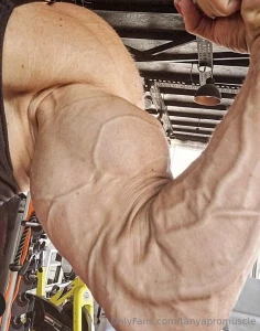 Bicep flex part 1