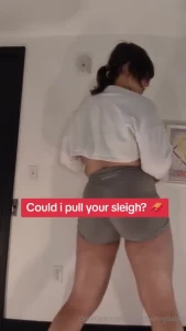 Could i pull your sleigh