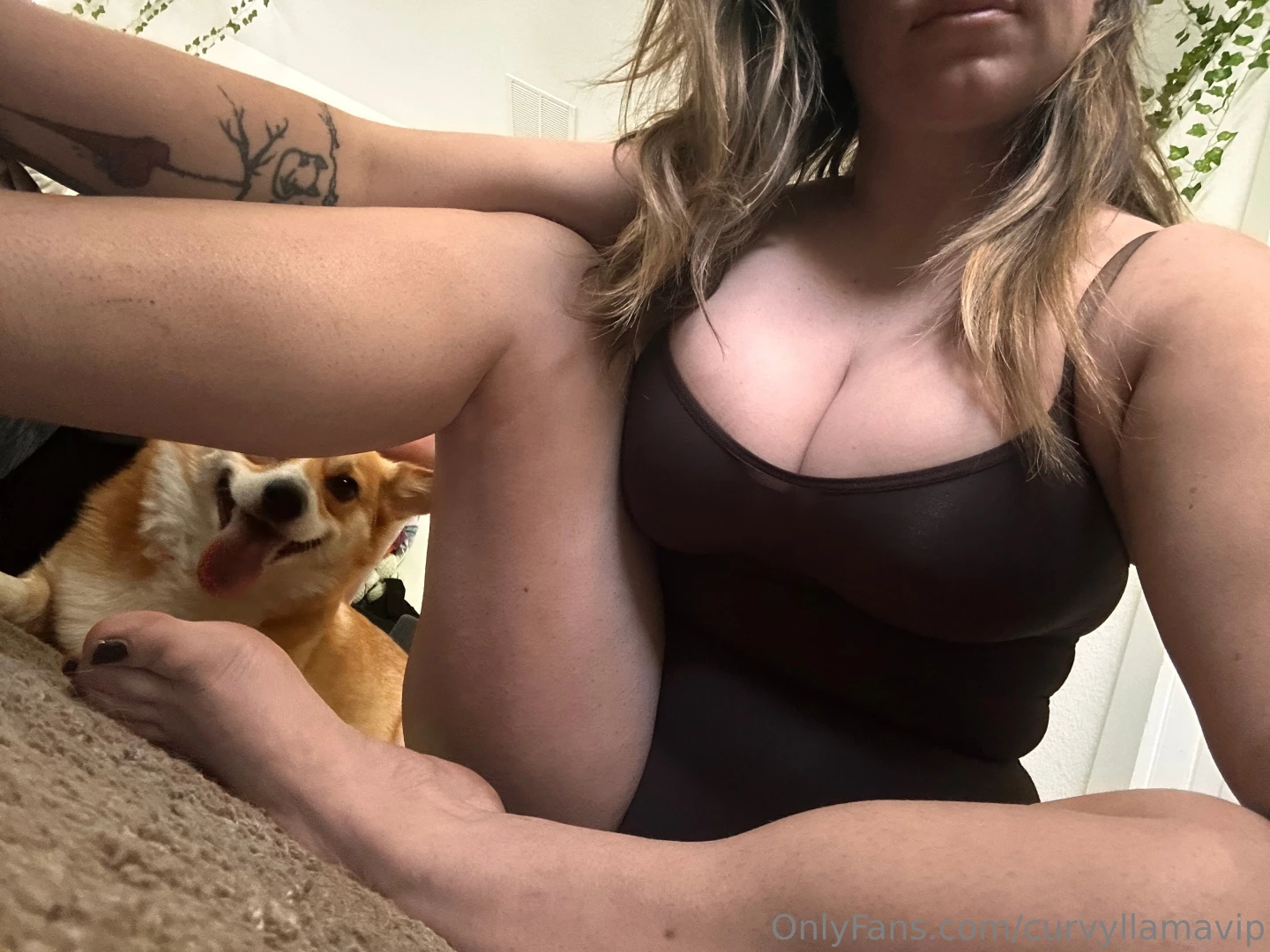 Dogs and tits name two better things swipe all the way for a rare free part 5 