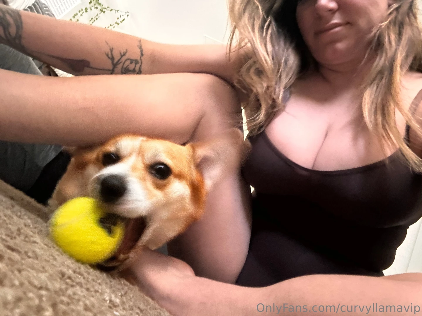 Dogs and tits name two better things swipe all the way for a rare free part 2 