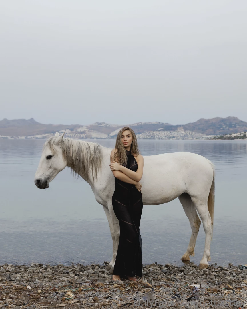 Our little friends i love animals both domestic and wild absolutely 