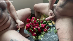 thegaygaston - Fertilizing the flowers our valentine s day roses weren t looking to 