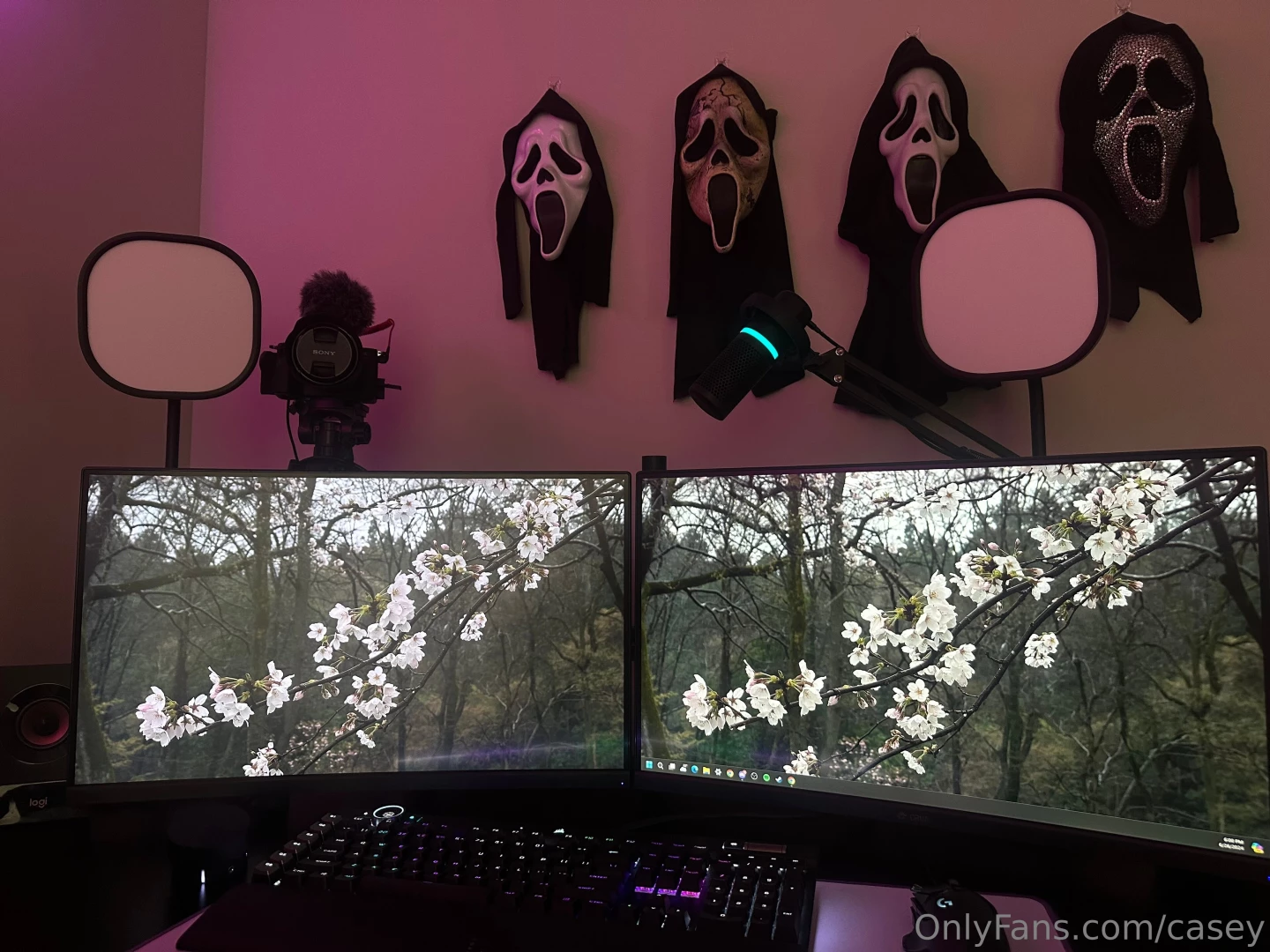 Swapped out my old ring light for two elgato key lights excited for 