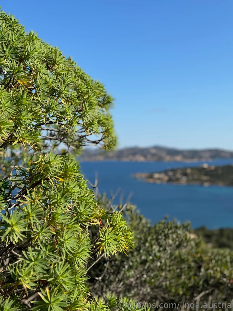 It s sunny again guten start in die neue woche checkt mal euren 